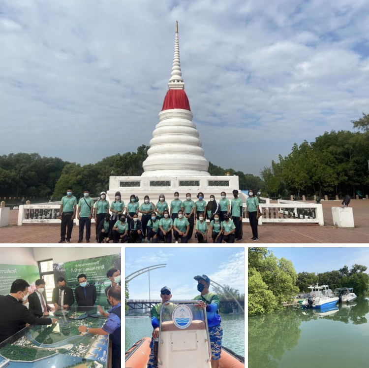 วันทำงานเดินสบายๆ ชมของดีในป่าชายเลนเมืองระยอง