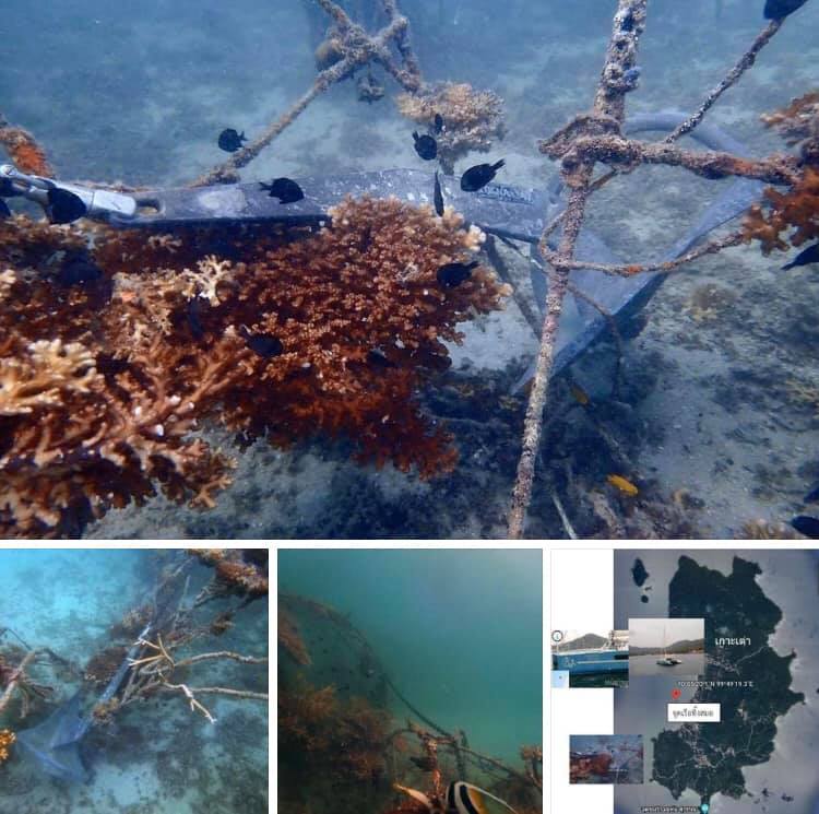 รวบตัวผู้กระทำผิดทิ้งเสมอเรือแนวปะการังอ่าวแม่หาด