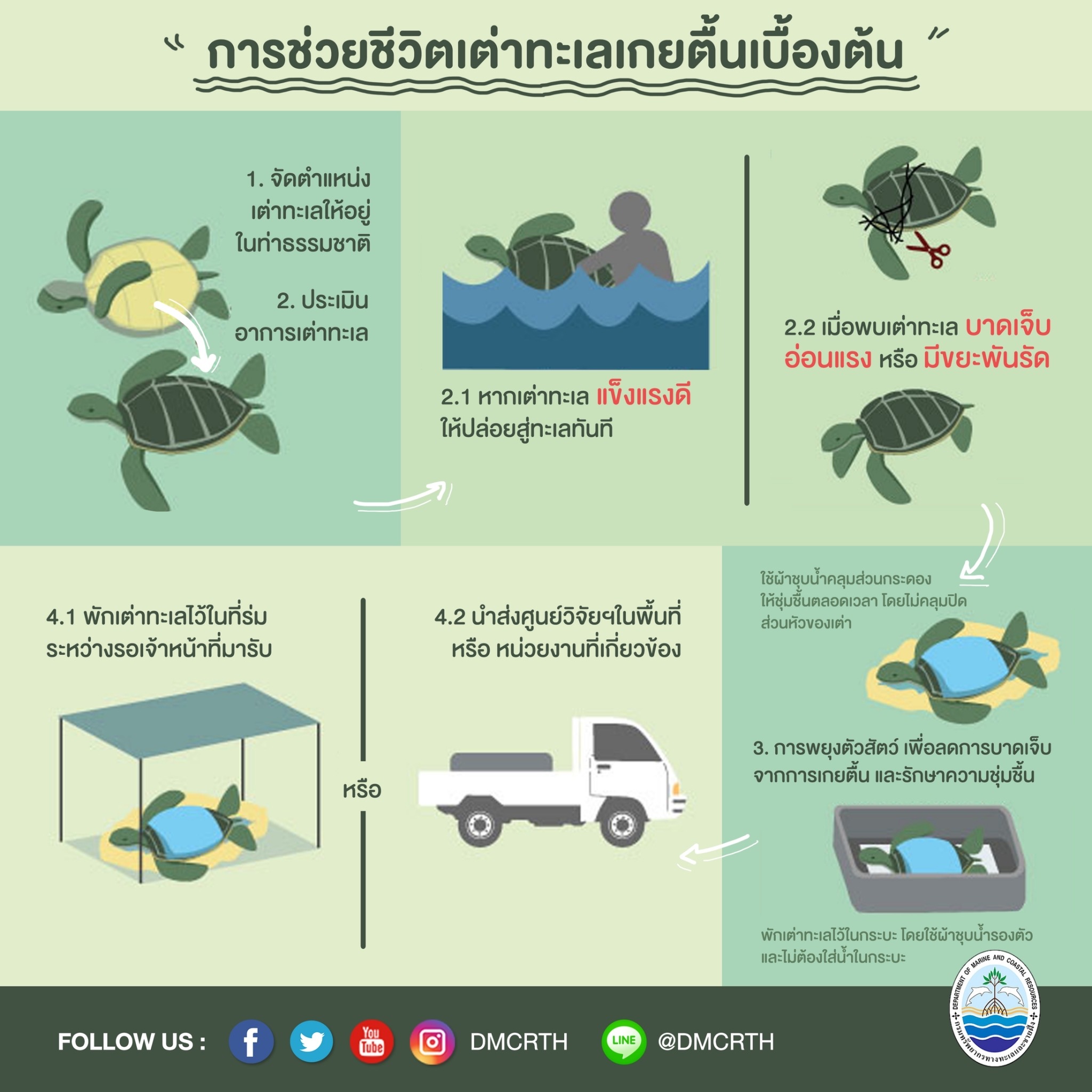 ขั้นตอนการช่วยเหลือ กรณีพบเต่าทะเลเกยตื้น เราช่วยเขาได้