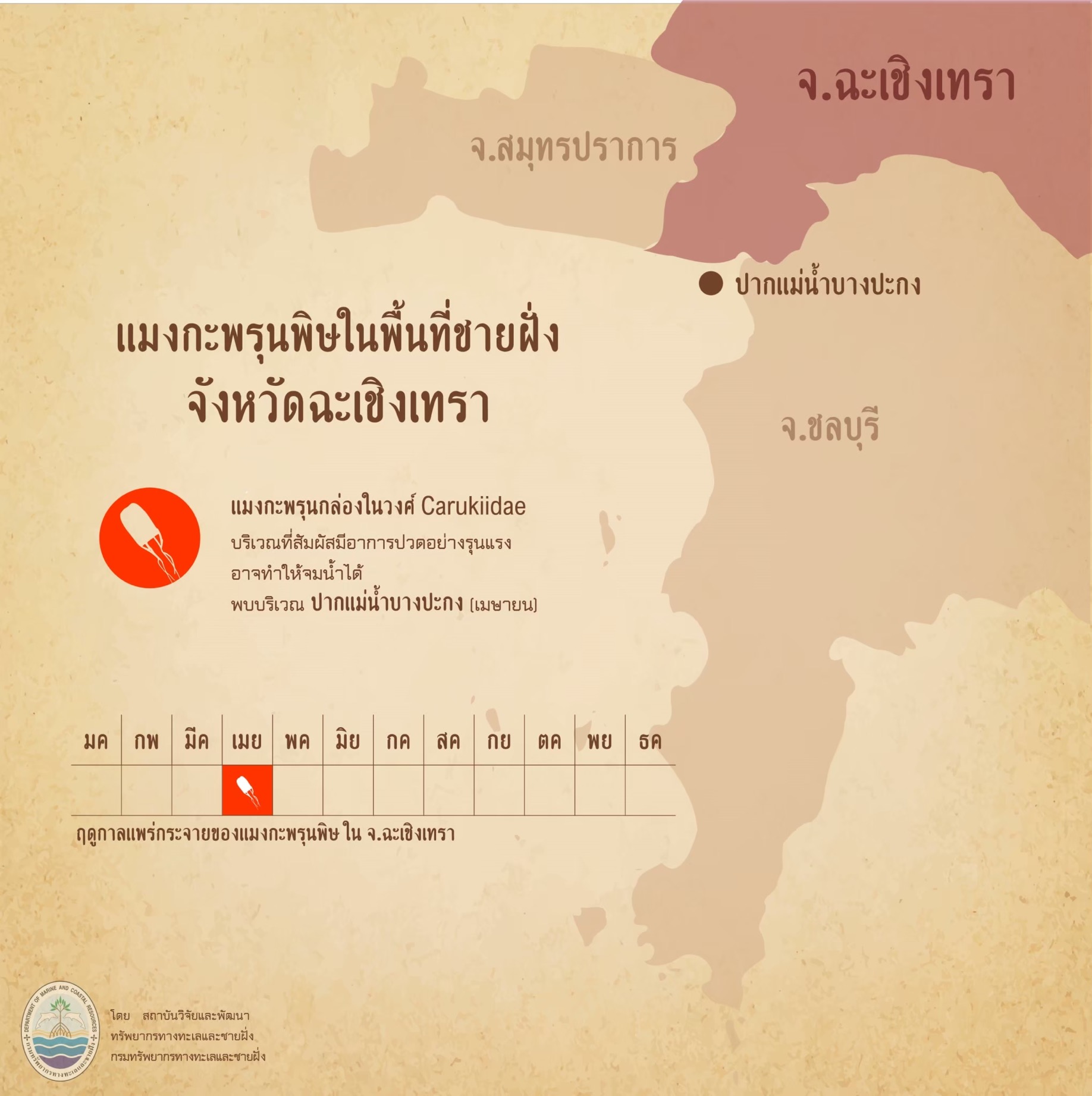 รู้จักกันหน่อยแมงกะพรุนในน่านน้ำไทย ตอนที่ ๕ ทะเลฉะเชิงเทรา