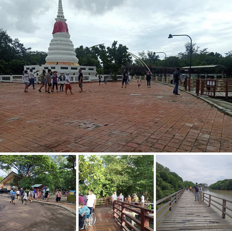 วันหยุด แม้ฝนตก นักท่องเที่ยวก็มาป่าชายเลนเมืองระยอง