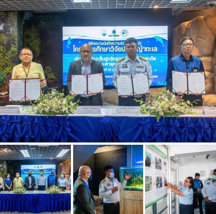 BLCP ร่วมเมืองมาบตาพุด สนับสนุนฟื้นฟูหญ้าทะเล