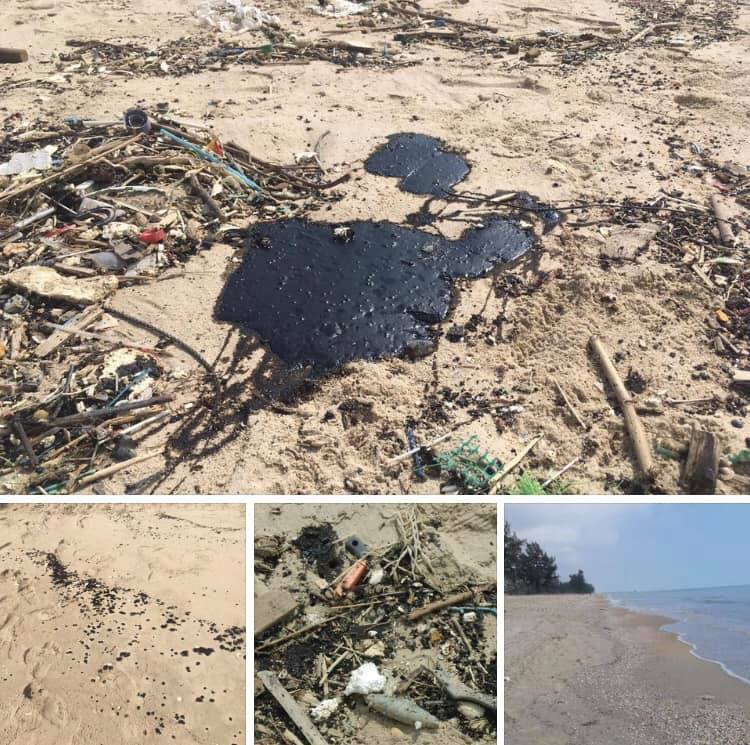 ตรวจก้อนน้ำมันหาดมหาราชและหาดกระบองเพชร สงขลา