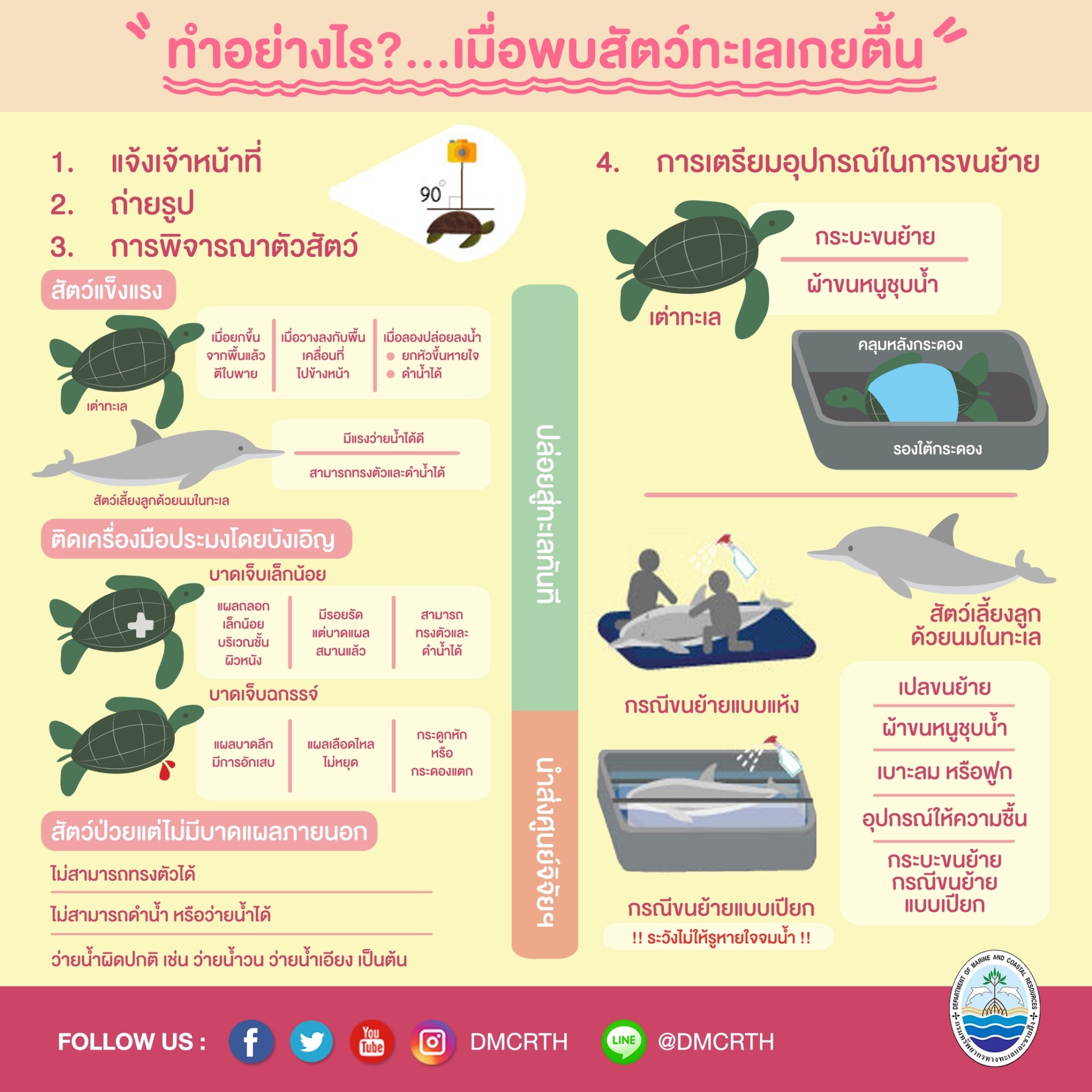 ทำไงดี เมื่อพบสัตว์ทะเลหายากเกยตื้น เราช่วยเขาได้
