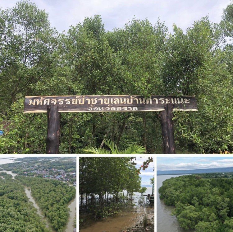 สำรวจสถานภาพชายฝั่งรายตำบลชายแดนตะวันออก