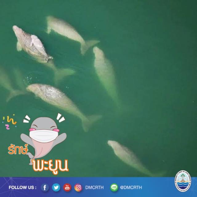 สวัสดี พี่น้องเครือข่ายอนุรักษ์ทะเลไทย