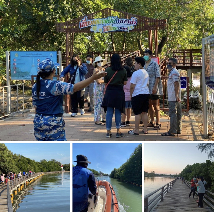 ป่าชายเลนกลางเมือง ความภูมิใจของชาวระยอง