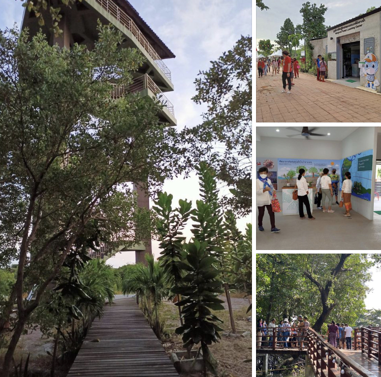 วันอาทิตย์สุดท้ายของปี สิ่งดีดีที่ป่าชายเลนเมืองระยอง