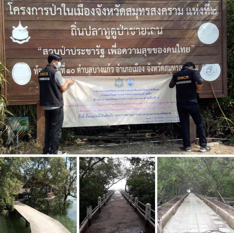งดเที่ยว ประกาศปิดชั่วคราว ป่าชายเลนถิ่นปลาทูเมืองแม่กลอง