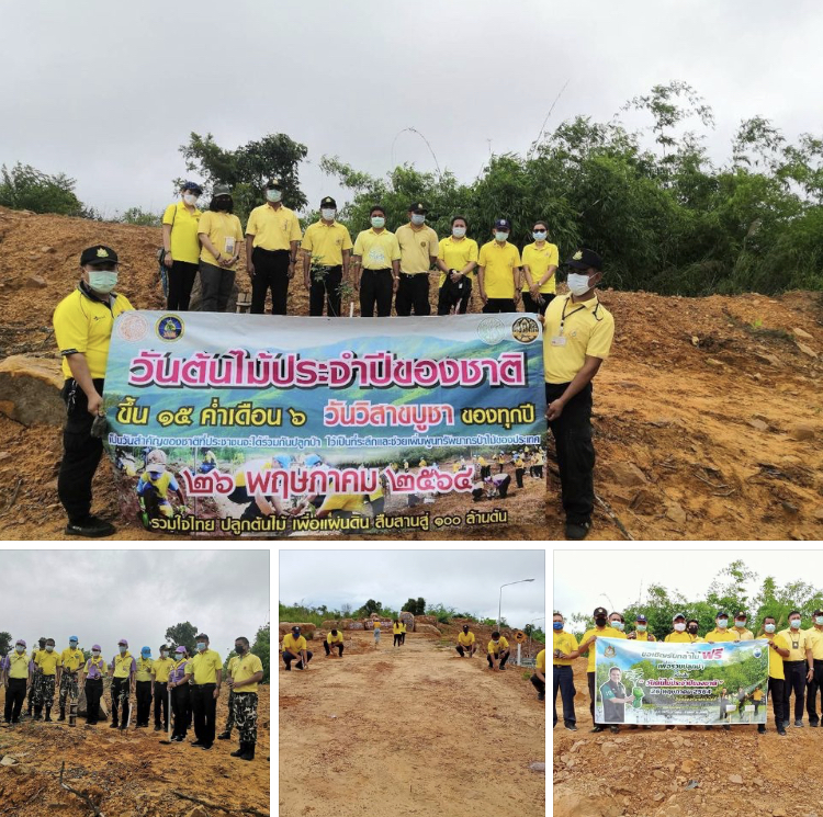 รวมกันชุดใหญ่ ปลูกป่าสองข้างทางหลวงเส้นใหม่ไปแหลมกลัด