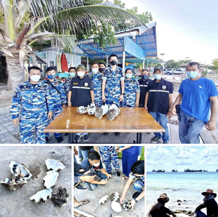 ตรวจยึดลักลอบเก็บหอยมือเสือในเขตน้ำตื้นชายทะเล แสมสาร