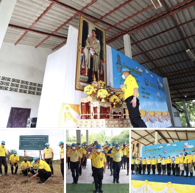 พ่อเมืองระนอง นำปลูกป่าชายเลนท่าต้นสนเฉลิมพระเกียรติ