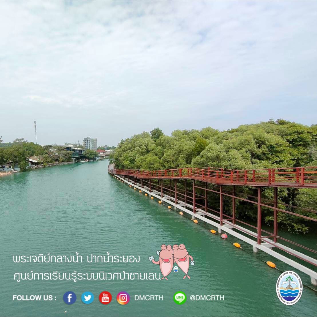สวัสดี พี่น้องเครือข่ายอนุรักษ์ทะเลไทย