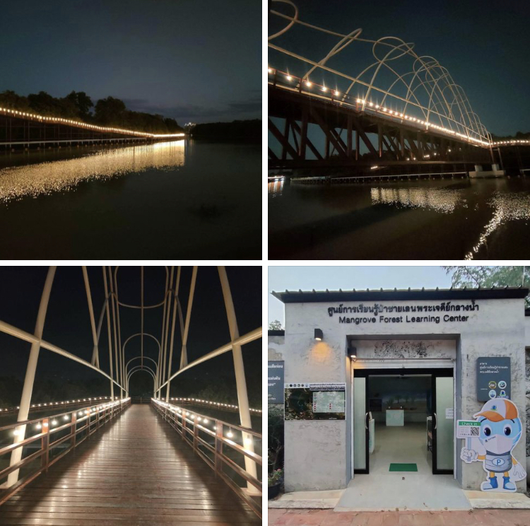 ช่วงค่ำสวยไม่แพ้กลางวัน สิ่งดีดีที่ป่าชายเลนเมืองระยอง
