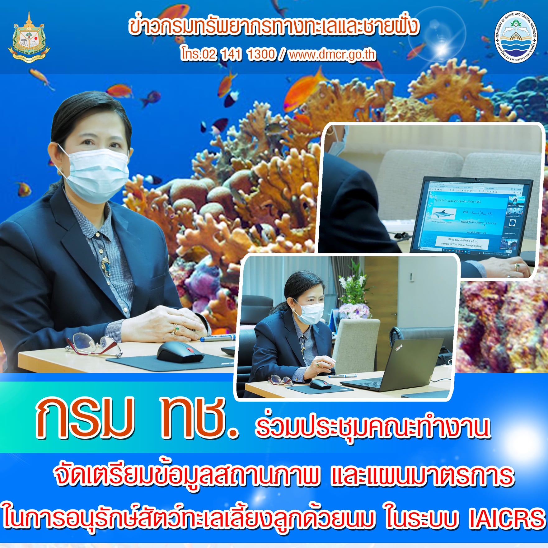 ร่วมจัดทำแผนอนุรักษ์สัตว์ทะเลเลี้ยงลูกด้วยนมในระบบ IAICRS