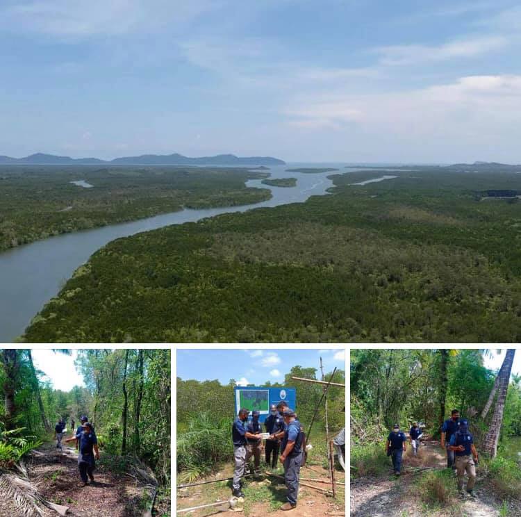 ส่งโดรนตรวจป่าชายเลนคุระบุรี พบสมบูรณ์ไม่มีการบุกรุก