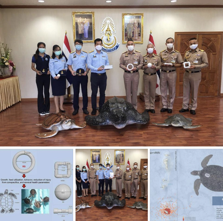 ส่งมอบผลศึกษาร่วมทัพเรือ งานอนุรักษ์เต่าเกาะหูยง