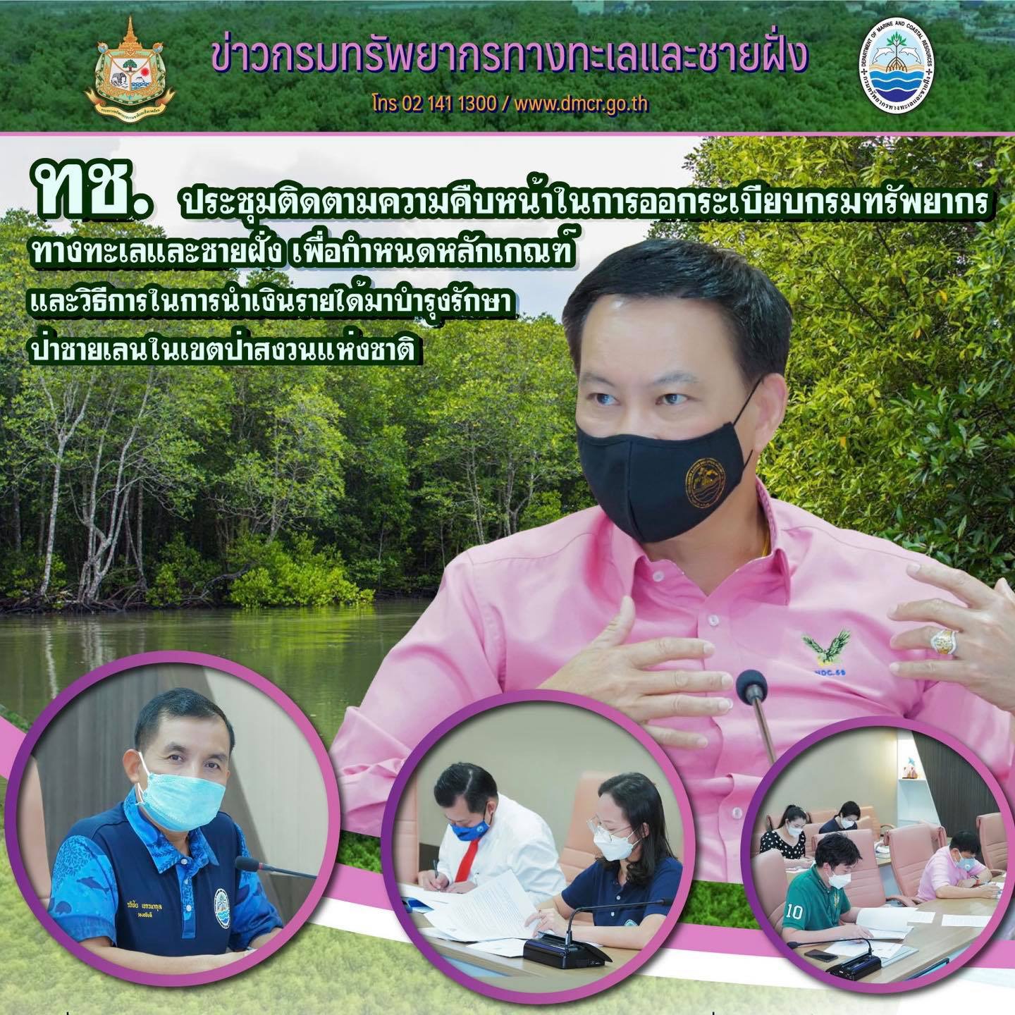 ทช. ผลักดันเกณฑ์หารายได้บำรุงรักษาป่าชายเลน