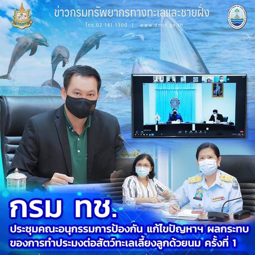 กรม ทช. ร่วมพิจารณาผลกระทบประมงต่อสัตว์ทะเลหายาก