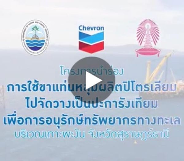 ติดตามผลการฟื้นฟูทะเลเกาะพะงัน หลังวางปะการังเทียมจากขาแท่นฯ