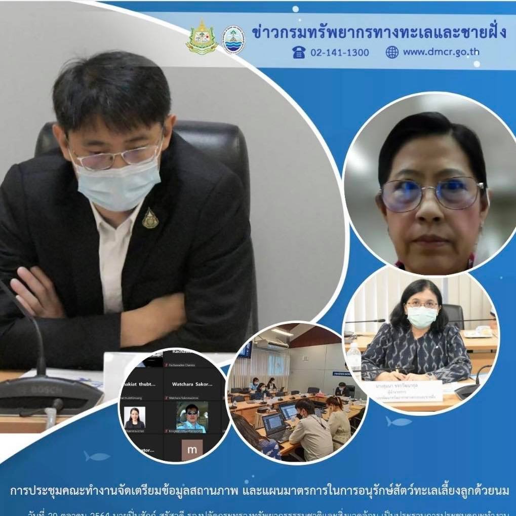 หาแนวทางลดผลกระทบจากการทำประมงต่อสัตว์ทะเลเลี้ยงลูกด้วยนม