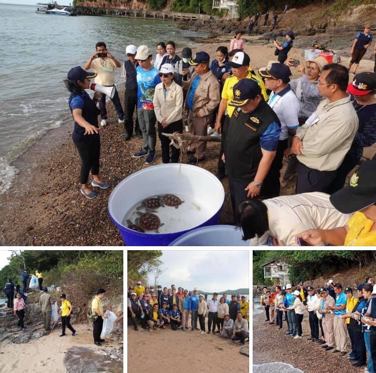 ชวนพ่อเมืองสงขลาปล่อยเต่าทะเล เก็บขยะชายหาดเกาะหนู
