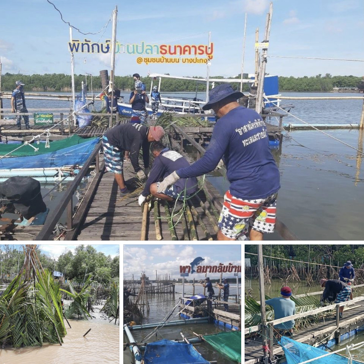 บ้านบน ทำบ้านปลาธนาคารปู เพื่อทะเลหน้าบ้านเราอุดมสมบูรณ์
