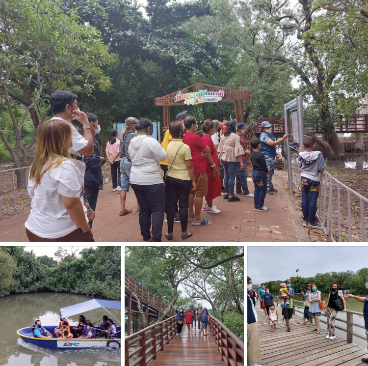 ลมหนาวมา บรรยากาศดีที่ป่าชายเลนกลางเมืองระยอง