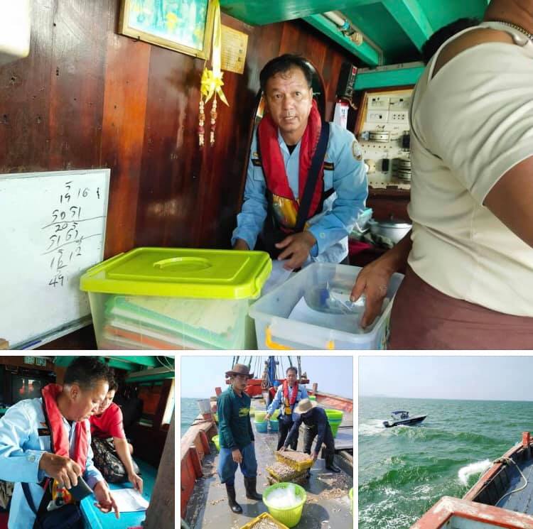 ตรวจเรือประมงทะเลชลบุรี แปดริ้ว เอกสารครบตามระเบียบ IUU