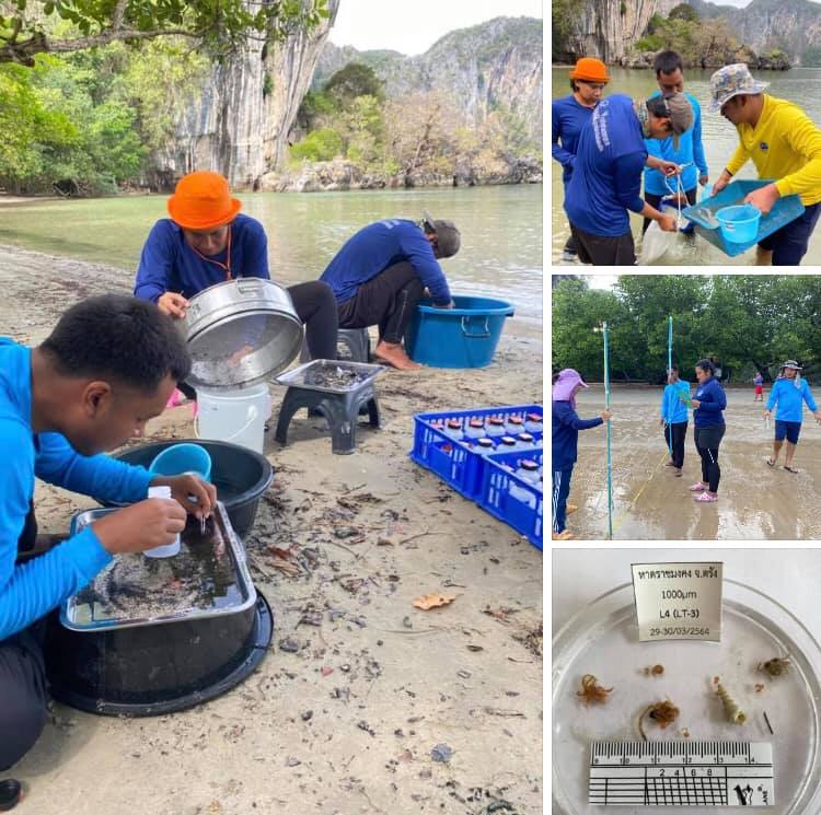 เก็บตัวอย่างสัตว์พื้นทะเลหาดราชมงคล คงสมบูรณ์โดยธรรมชาติ