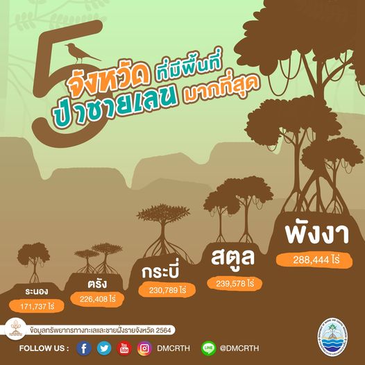 ๕ จังหวัดที่มีผืนป่าชายเลน กว้างใหญ่มากที่สุด