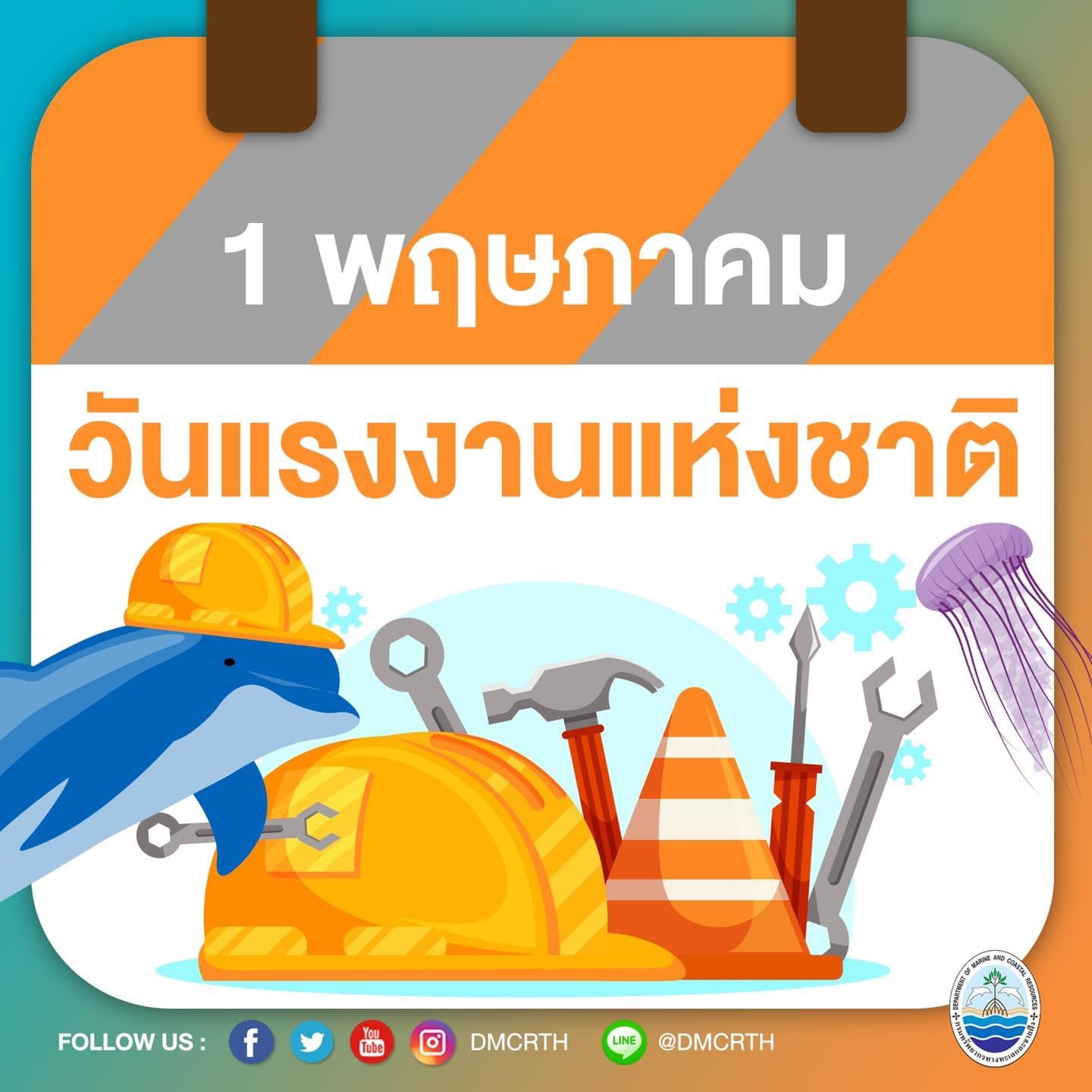 สวัสดี พี่น้องเครือข่ายอนุรักษ์ทะเลไทย