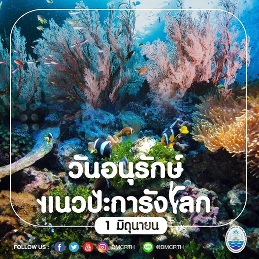 วันอนุรักษ์แนวปะการังโลก มีวันนี้ด้วยคุณค่า