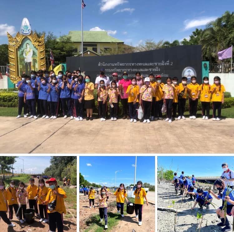 พาน้องๆ โรงเรียนประภัสสรวิทยาฟื้นฟูป่าชายเลนเมืองชลบุรี