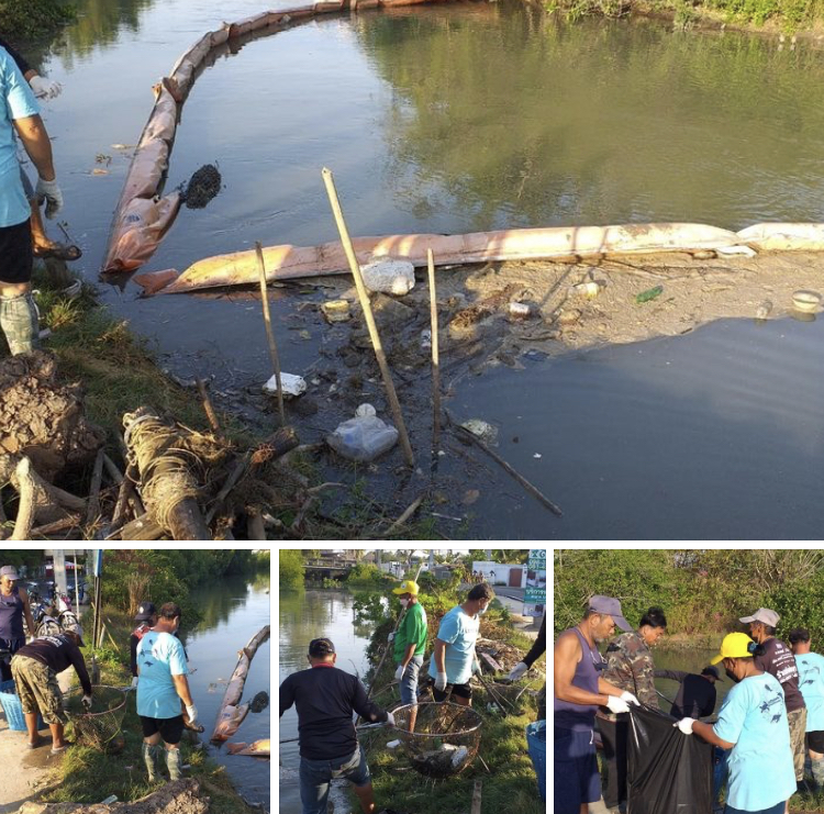 อาสาสมัครพิทักษ์ทะเล จัดเก็บขยะชายฝั่งหาดเจ้าสำราญ