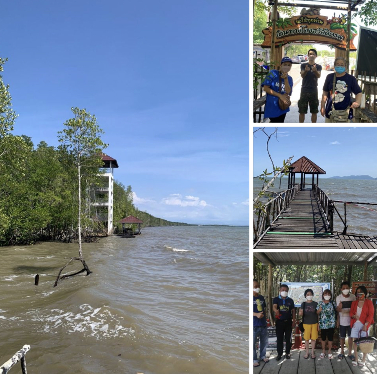 มาตะวันออก อย่าลืมแวะชมของดีหาดทรายดำที่ป่าชายเลนแหลมงอบ