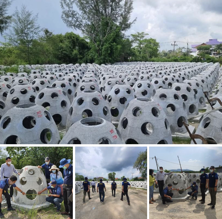 เสริมทะเล วางปะการังเทียมเพิ่มภูเก็ต-พังงา-กระบี่