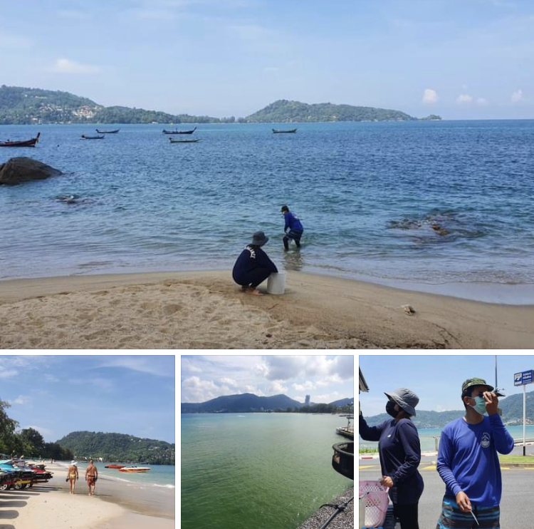 สำรวจสถานภาพน้ำทะเลอ่าวป่าตอง โดยรวมปกติ