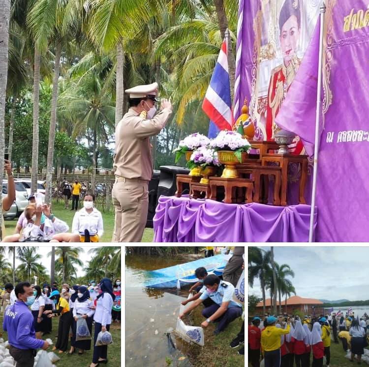 ชาวปัตตานี จัดงานปล่อยพันธุ์สัตว์น้ำเฉลิมพระเกียรติพระราชินี