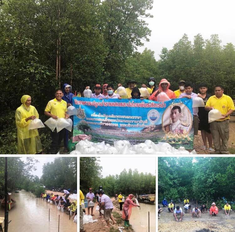 ชุมชนชุมโค จัดฟื้นฟูป่าชายเลน พัฒนาคุณภาพชีวิต