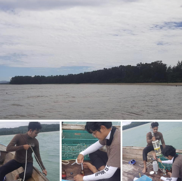 ติดตามค่าความเป็นกรดของน้ำทะเล หาดในยาง