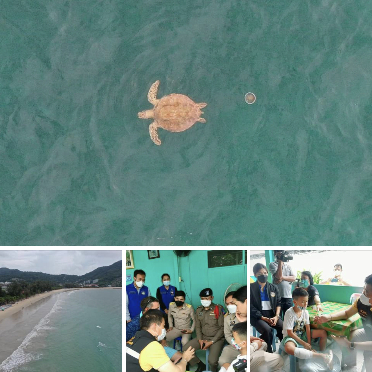 ตรวจสอบต้นเหตุ สัตว์ทะเลทำร้ายนักท่องเที่ยวหาดกมลา