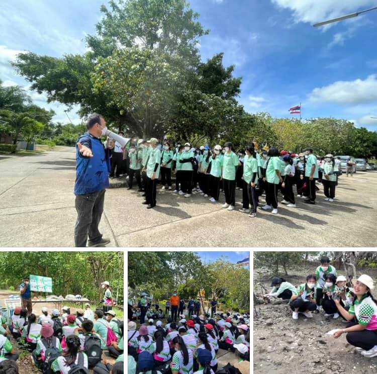 โรงเรียนสุราษฎร์ธานี ๒ เรียนรู้รักษ์ป่าชายเลนปากคลองกะแดะ