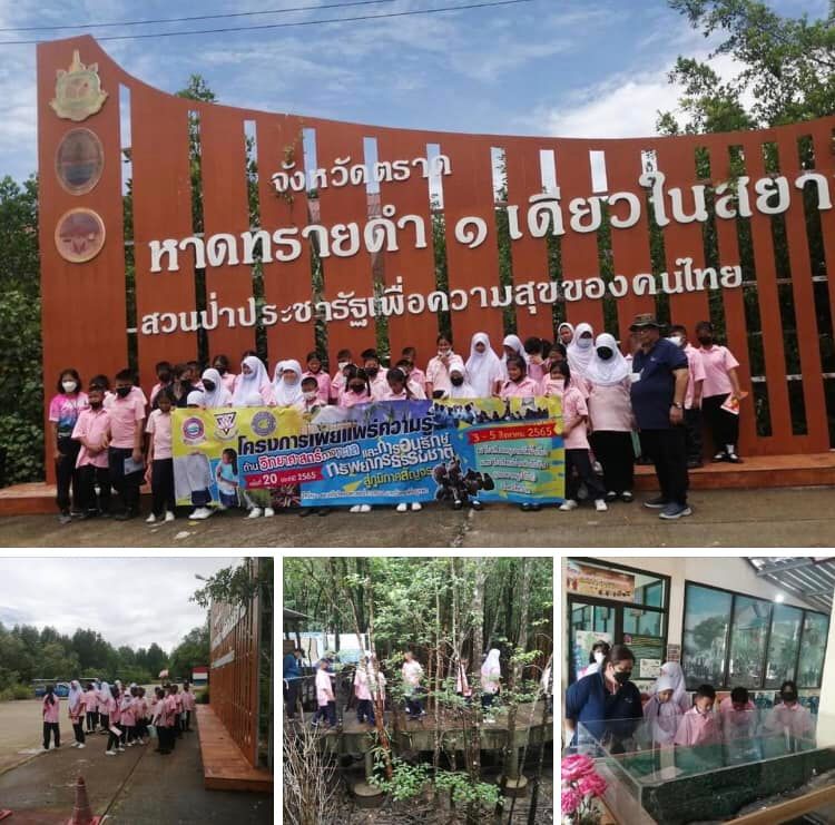 น้องๆ อนุบาลน้ำเชี่ยว ท่องเที่ยวชมหาดทรายดำ