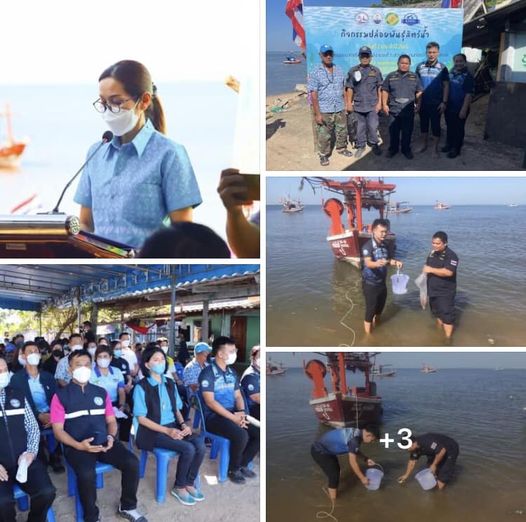 กรมทะเลและชายฝั่ง ร่วมกิจกรรมปล่อยพันธุ์สัตว์น้ำ บริเวณพื้นที่อ่าวบางละมุง จ.ชลบุรี