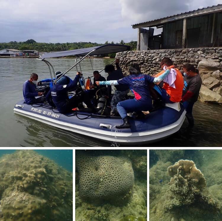 พาสำรวจแนวปะการังแหลมเขาคอกวาง และเขาพลายดำ