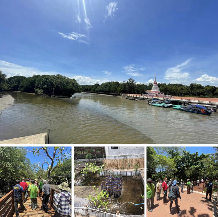 ธรรมชาติกลางเมือง ป่าชายเลนพระเจดีย์กลางน้ำ