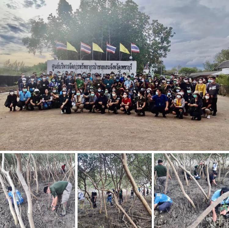ชื่นชมผืนป่าชายเลน คณะข้าราชการใหม่ ทส. ดูงานป่าเมืองเพชรบุรี