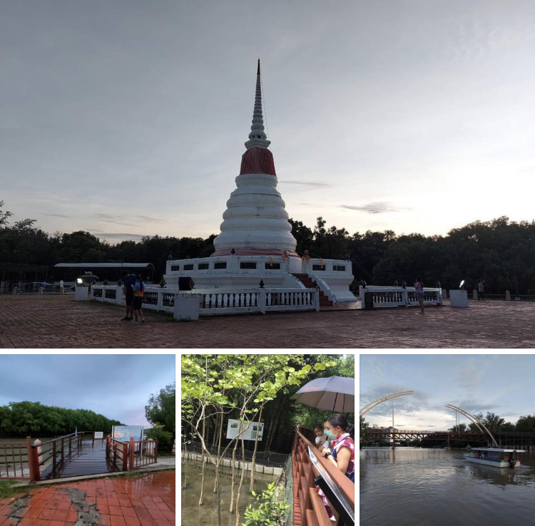 ฝนพรำ มาเดินเย็นๆ เที่ยวป่าชายเลนในเมืองระยอง