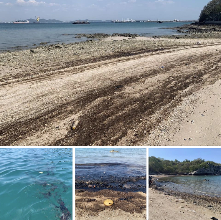 เร่งแก้ปัญหาและติดตามผลกระทบน้ำมันเกยหาดเกาะสีชัง
